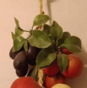 2- Vintage 70's Hanging Swinging Vegetable Plastic